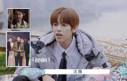 娱乐圈吃瓜关注谁